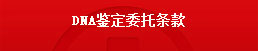 固液分离专家